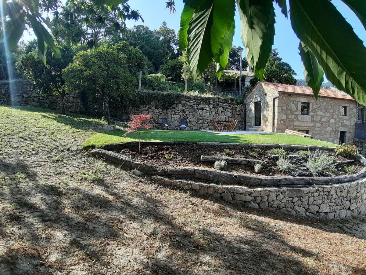 River House Sejaes Oliveira de Frades Εξωτερικό φωτογραφία