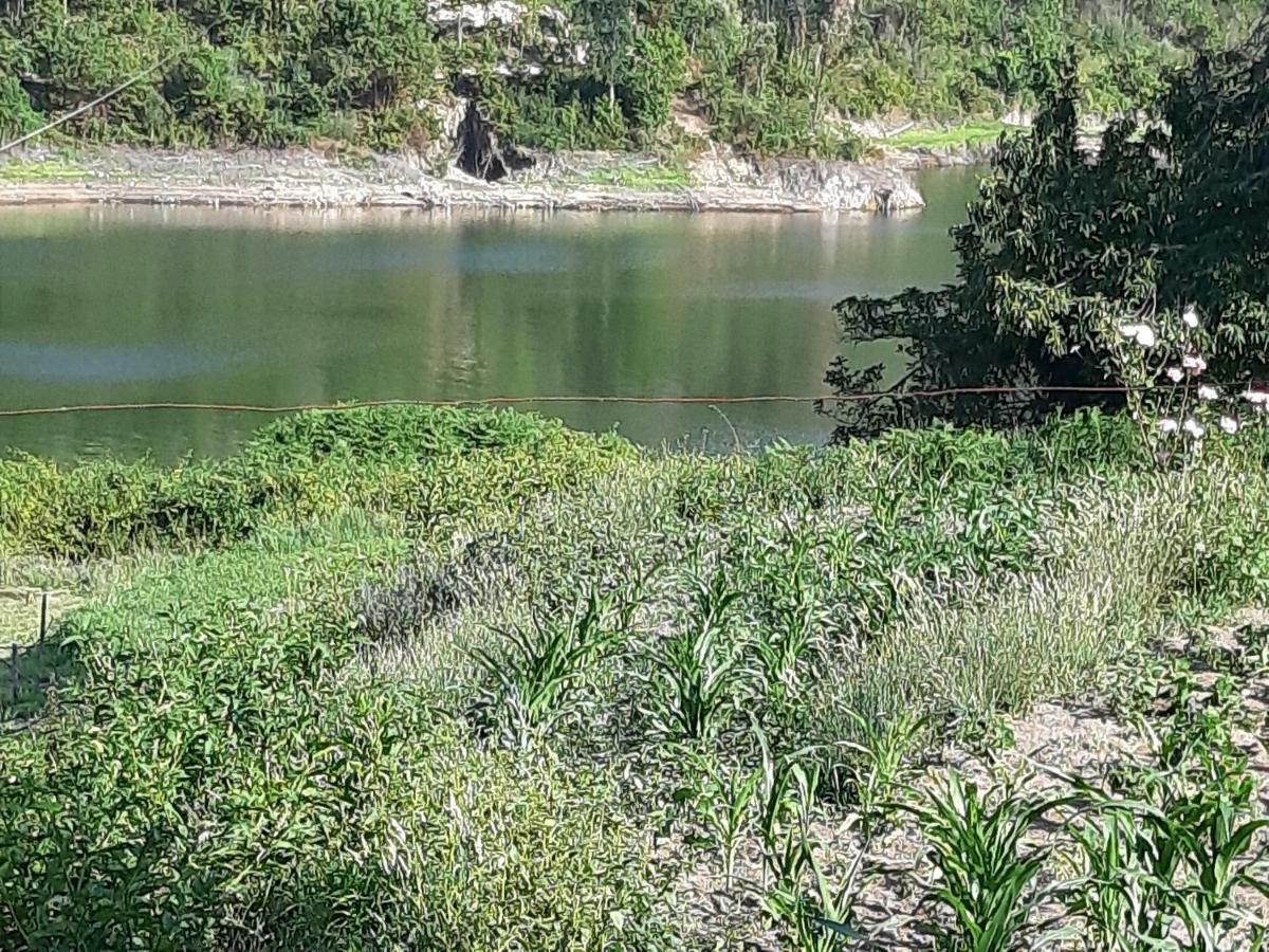 River House Sejaes Oliveira de Frades Εξωτερικό φωτογραφία