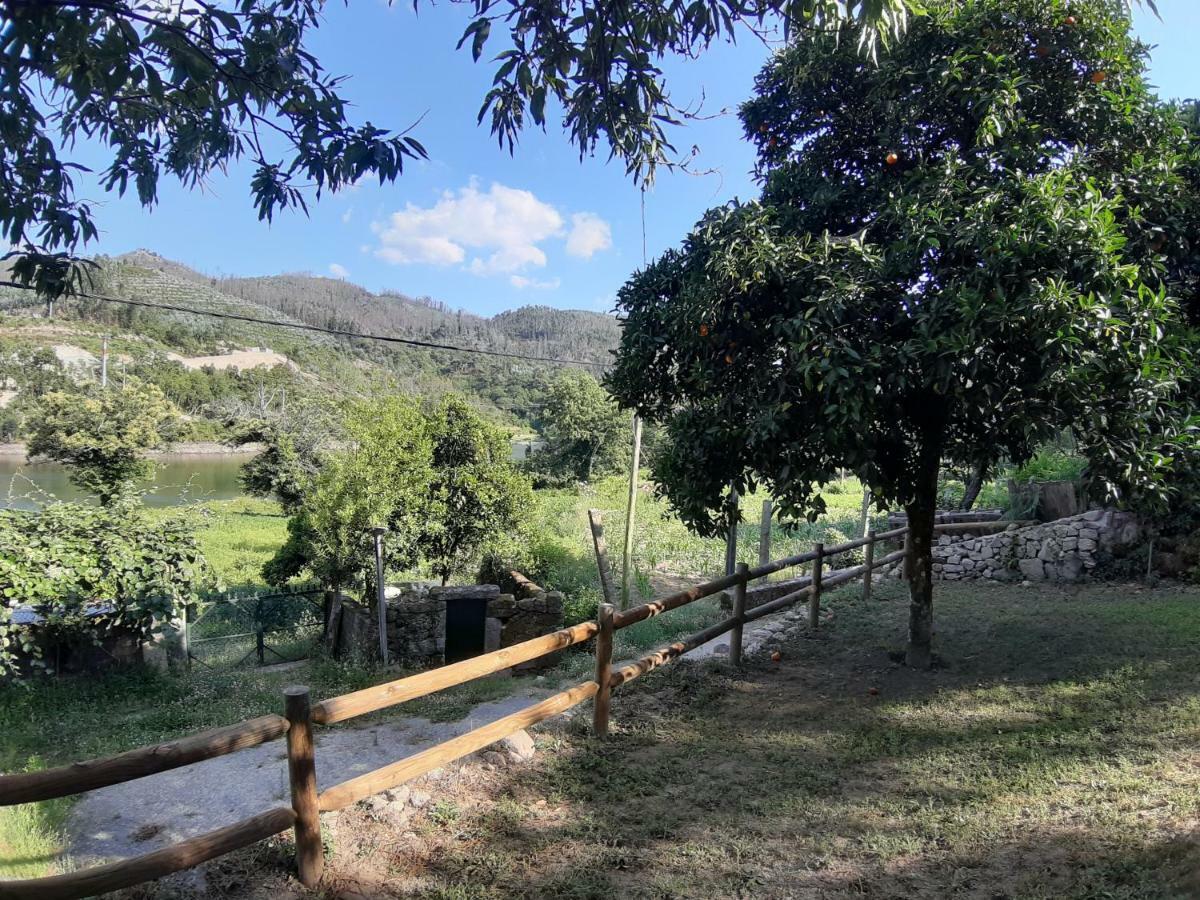 River House Sejaes Oliveira de Frades Εξωτερικό φωτογραφία